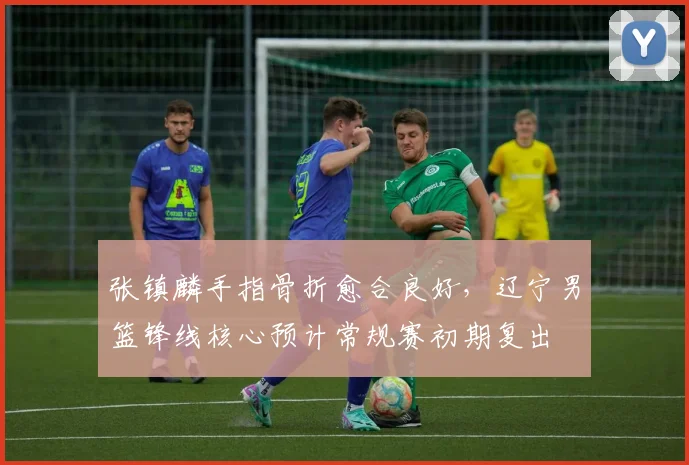 张镇麟手指骨折愈合良好，辽宁男篮锋线核心预计常规赛初期复出
